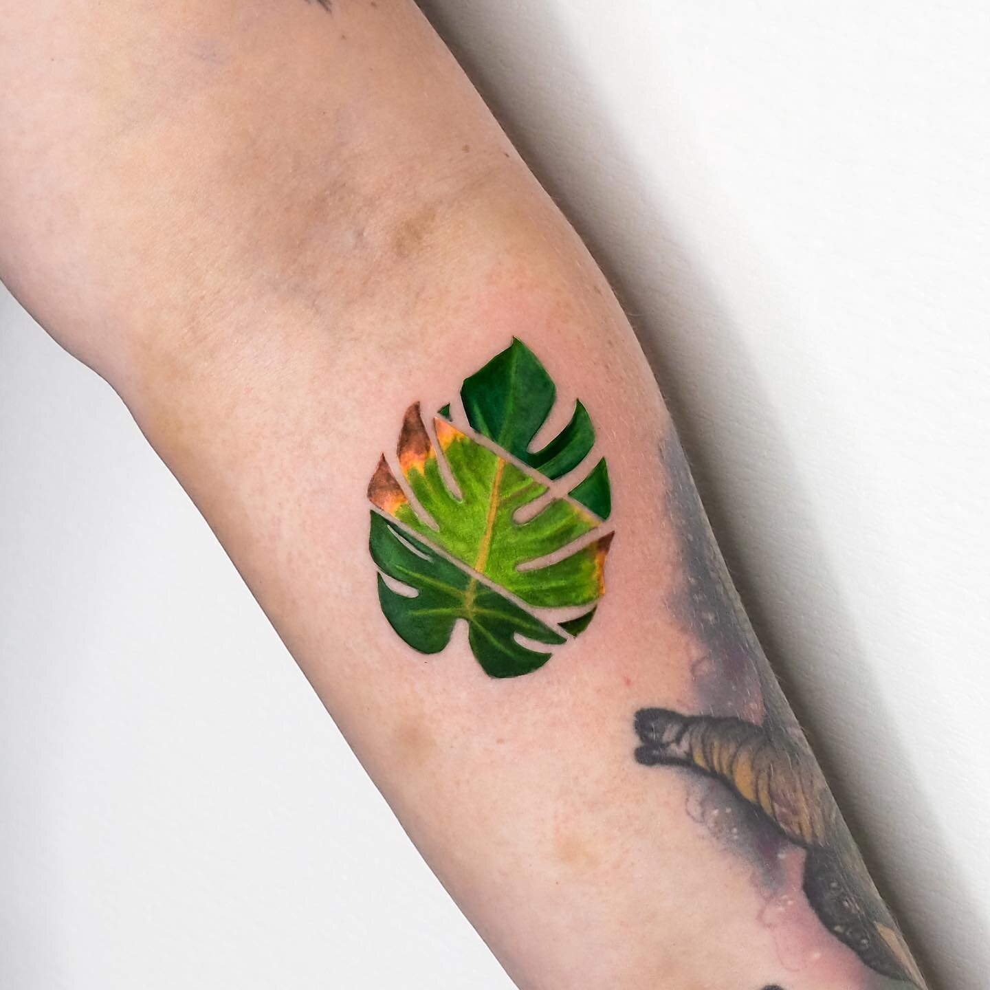 Life &amp; Death of a Monstera by Antonio 🍃
&bull;
&bull;
&bull;
DM/Email or Call the shop to schedule your next appointment!
&bull;
&bull;
&bull;
#tattoo #tattoos #torontotattoo #torontoartist #artist #tattooartist #tattooshop #shop #art  #vaughan 